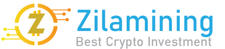 Site Logo White